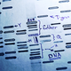 Illustration for article titled How Obama Will Spend The $215 Million Pledged To Precision Medicine